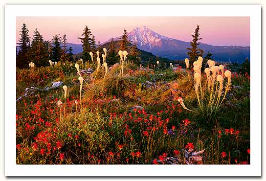 More about this print